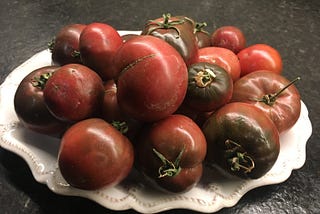 James Gibbon — Growing Outdoor Tomatoes in Montana — James Gibbon