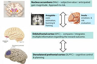 Employing Machine Learning In Digital Marketing To Mirror The Human Brain’s Decision Engine