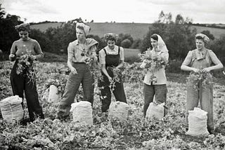 How Woman Farmers Disrupted Gender Norms during World War 2