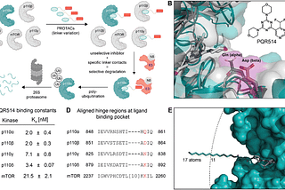 A high affinity pan-PI3K binding module supports selective targeted protein degradation of PI3Kα