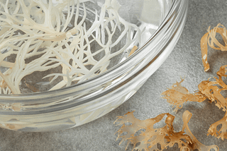 Sea Moss For Skincare: Properties, Benefits and Health Uses