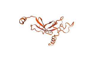 Protein modeling of Lengin Isoform b