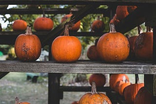Pumpkin Display