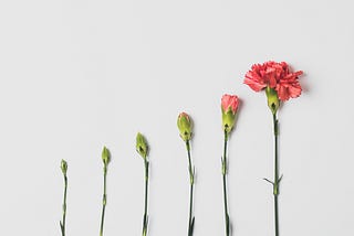 Why Delusion and Audacity Are Your Best Growth Strategies