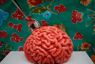 How Do You Feel With A Plastic Brain?