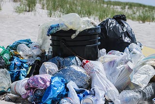 Plastic Pollution Affects Not Only The Environment, But Human Health Too