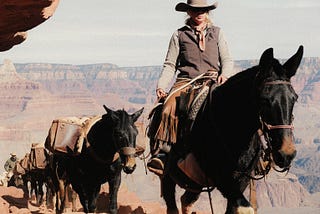 Person wearing a wide-brimmed hat and fringed trousers on a brown horse leading a pack of mules up a path against a rocky, mountainous desert backdrop in the USA.