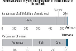 Thinking Citizen Blog — Arthropods — The Big Picture (50% Of Animal Biomass) Plus Some Details…