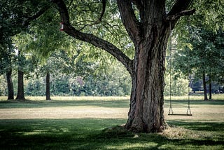 The Banyan