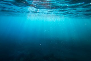 This is the Water We Swim In