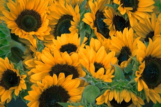 Sunflower Pendants: Polymer Clay Crafts
