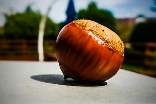 How a Chestnut Led Me to a Spiritual Awakening