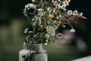 Summer Solstice Zodiac Messages