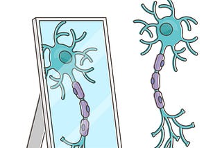 Your Brain on Social Networks