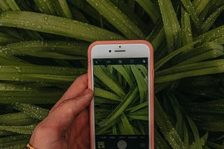 Why Doesn’t My Cell Phone Work in My Dreams?