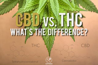 What’s the Difference Between CBD & THC?