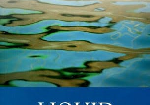 Liquid Modernity: The Age of Perpetual Flux