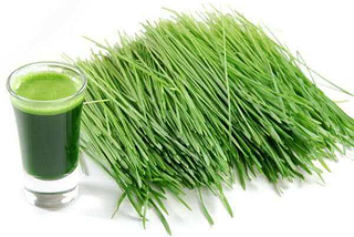 Picture depicting Durva grass and its juice