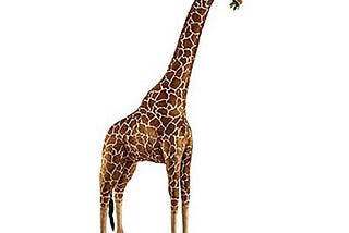hansa-giraffe-extra-large-1