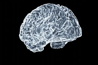 What Your Brain Is Still Better At Than AI