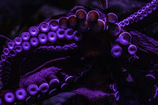 If I Was An Octopus