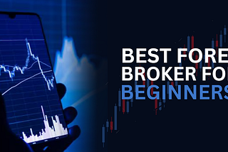 From Forex Rookie to Trading Pro: The Best Forex Brokers for Beginners