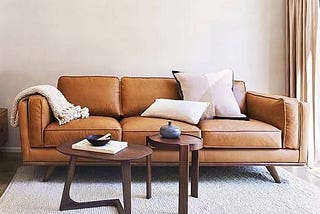 zander-90-sofa-charme-leather-tan-almond-west-elm-1