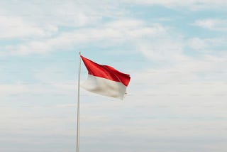 Indonesia in The World
