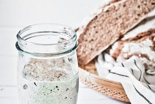 The Case of the Missing Sourdough Starter, Solved