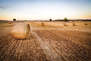 Climate Change and Its Impacts on Agriculture and Food Production