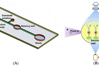 Syn Bio — p.18: Biosensors & Reporter Genes: Design & Use of Plasmids for Biosensing and Monitoring