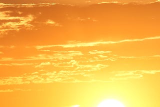 I Tried To Juice The Sun