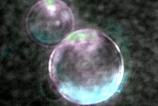 The first artificial cells that are starting to look alive