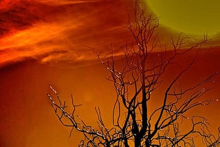 The danger hiding behind the climate silence in this election