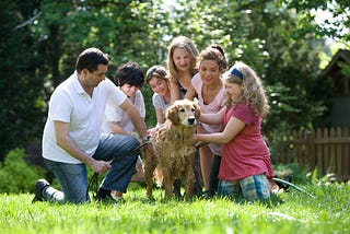 5 Best Dog Breeds to Adopt for Families with kids