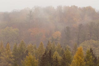 Isolated Shower