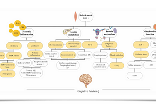 Is there an Association Between Low Skeletal Muscle Mass and Cognitive Function?