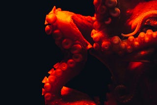 Curled arms of an octopus bathed in red light against a stark black background. The arms bear rows of suckers.