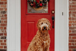 digital front door