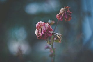 I Will Love Her Even After Her Mind is Gone