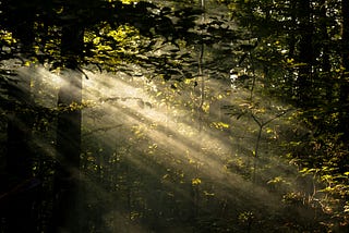 Radical Duality: All You Ever See Is Light, All You Ever Hear Is Sound