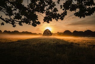 How to Renew Through Modern Spirituality