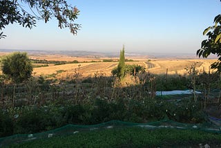 Stopping the Desert in its tracks in Andalucia