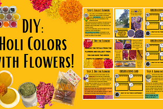 How to make Organic Holi colours from Flowers | Holi Experiment by our Founder