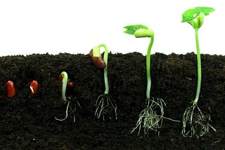 You Don’t Have to be Perfect to Create a Perfectly Good Habit