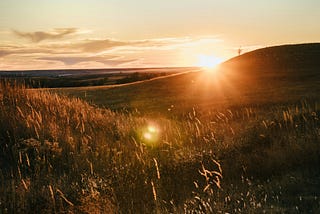 悼檸樂 In memory of Ling Lok