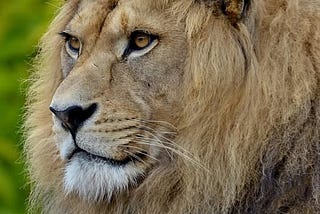 My thoughts* on ACIM Workbook Lesson 153, June 2, 2025, In My Defenselessness, My Safety Lies