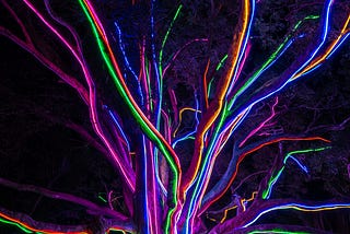 A colourful tree