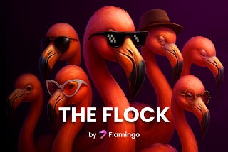 Welcome to THE FLOCK