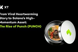 Punch (PUNCH): How a Viral Macaque Became a Solana Trading Asset